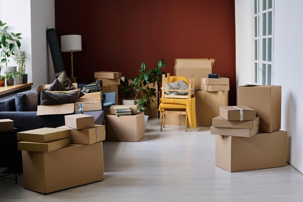 Flat Clearance-img